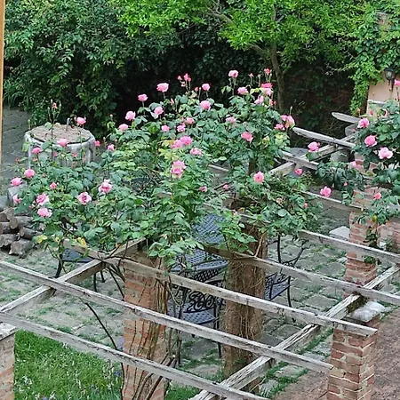 Vista Sul Canal Grande 4* Venedig