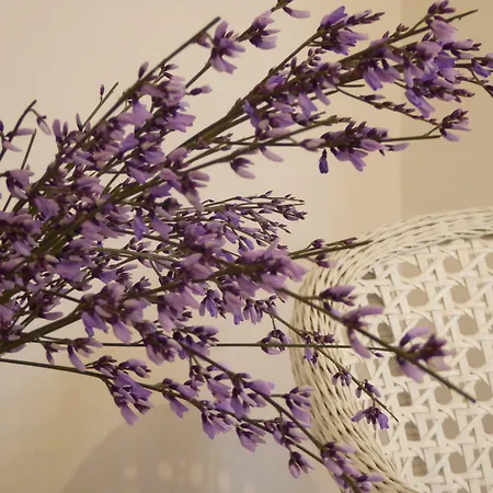 Vista Sul Canal Grande Bed & Breakfast 4*