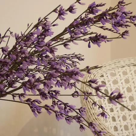 Bed & Breakfast Vista Sul Canal Grande