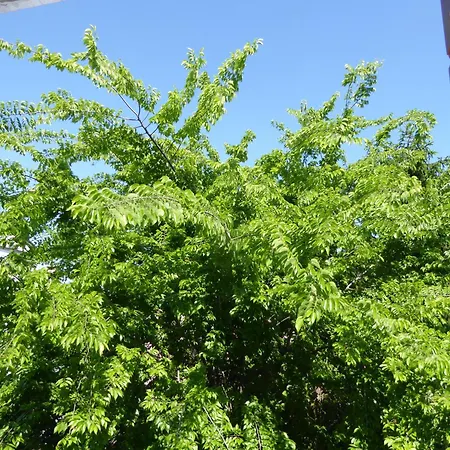 Bed & Breakfast Vista Sul Canal Grande