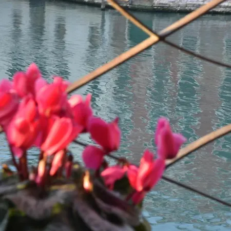 Bed & Breakfast Vista Sul Canal Grande 4*