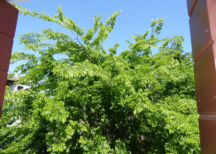 비스타 술 카날 그란데 4*