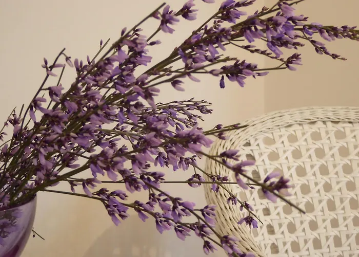 B&B 비스타 술 카날 그란데