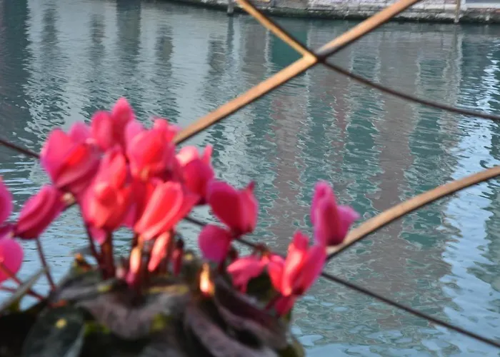 B&B 비스타 술 카날 그란데 4*